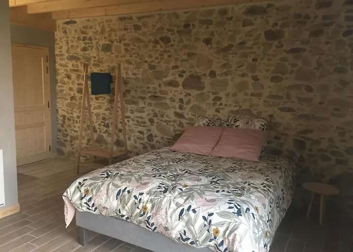 La Grande Thibaudiere 3* La Plaine